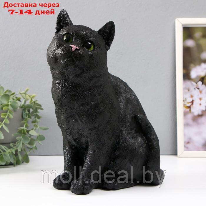 Копилка "Кошка Черная окраска" высота 31,5 см, ширина 16 см, длина 24 см. - фото 1 - id-p227089089