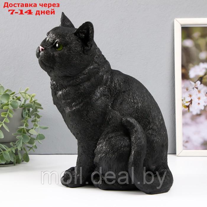 Копилка "Кошка Черная окраска" высота 31,5 см, ширина 16 см, длина 24 см. - фото 2 - id-p227089089