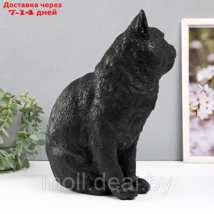 Копилка "Кошка Черная окраска" высота 31,5 см, ширина 16 см, длина 24 см. - фото 4 - id-p227089089