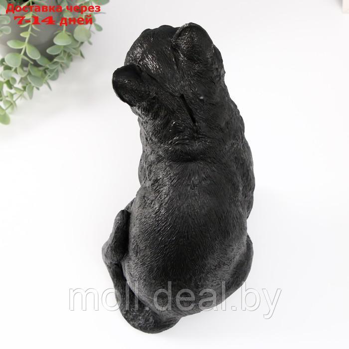 Копилка "Кошка Черная окраска" высота 31,5 см, ширина 16 см, длина 24 см. - фото 5 - id-p227089089