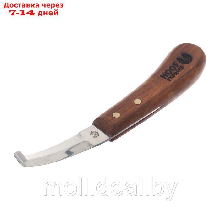 Нож для копыт двусторонний Hoof Express, средний - фото 1 - id-p227075184
