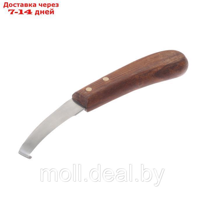 Нож для копыт двусторонний Hoof Express, средний - фото 2 - id-p227075184