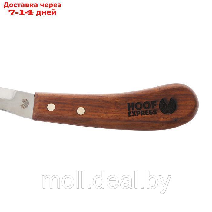 Нож для копыт двусторонний Hoof Express, средний - фото 4 - id-p227075184
