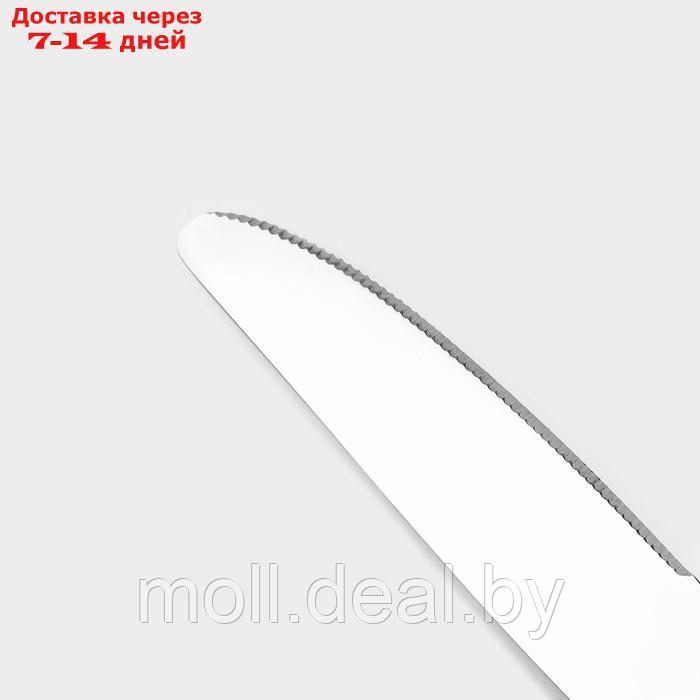 Набор ножей столовых из нержавеющей стали Magistro "Виконт", длина 24 см, 6 шт - фото 3 - id-p227076181