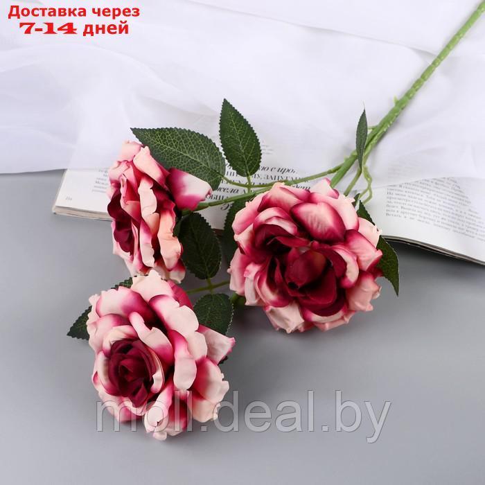 Цветы искусственные "Роза Палома" d-8 см 53 см, тёмно-сиреневый - фото 1 - id-p227092116