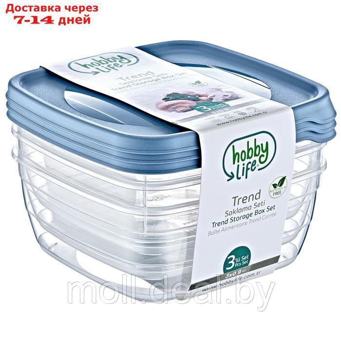 Набор пищевых контейнеров Trend HobbyLife - 3 шт по 0,9 л, цвет МИКС - фото 1 - id-p227077189