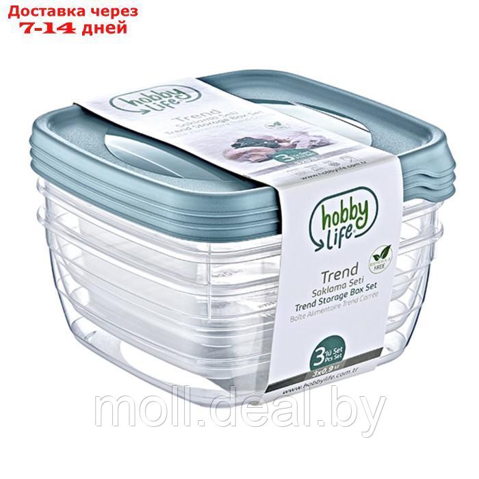 Набор пищевых контейнеров Trend HobbyLife - 3 шт по 0,9 л, цвет МИКС - фото 2 - id-p227077189