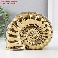 Сувенир керамика "Ракушка спираль" золото 20,5х6х16 см