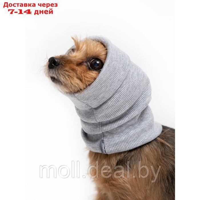 Капор трикотажный для собаки, размер M (Диаметр 32-50 см, Длина 33 см), серый - фото 2 - id-p227092126