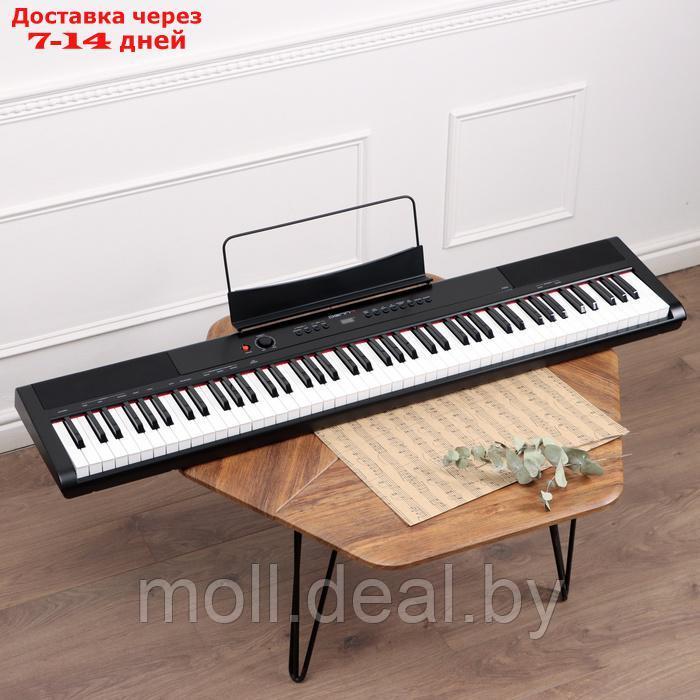 Электронное пианино DENN PRO PW01, 8 тембров, полифония 48 нот, 88 клавиш - фото 1 - id-p226888911