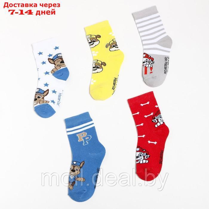 Набор детских носков 5 пар "Boy", PAW PATROL, 18-20 см - фото 5 - id-p227103299
