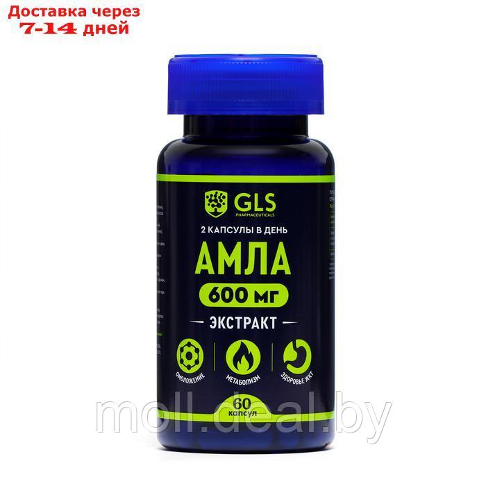 Витамины Амла GLS для мозга, 60 капсул по 400 - фото 1 - id-p227079213