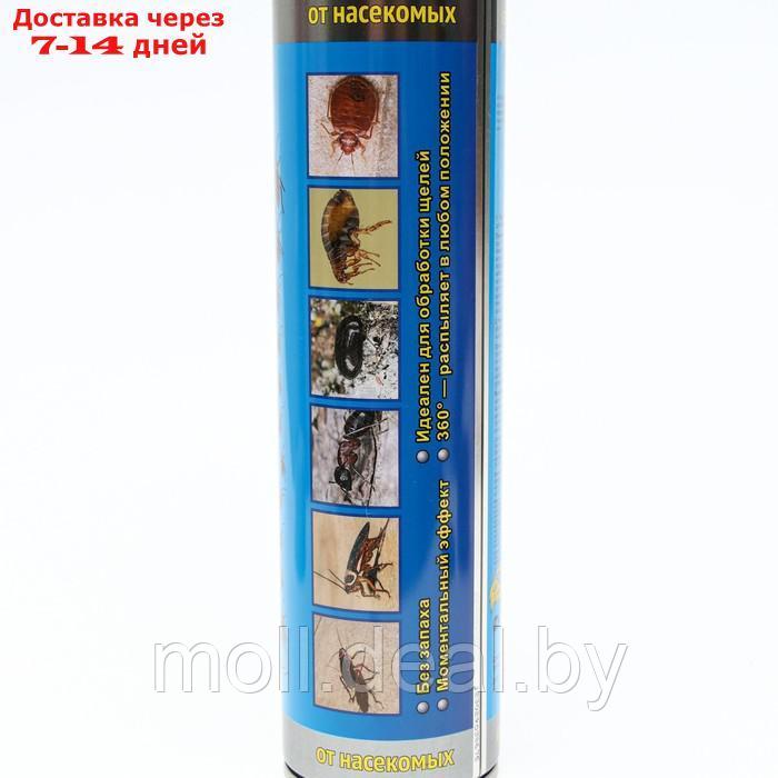 Аэрозоль БлокбастерProfi, от ползающих насекомых, флакон, 800 мл - фото 3 - id-p227111638
