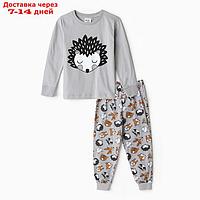 Пижама для мальчика (лонгслив/штанишки), цвет серый/ёжик, рост 110см