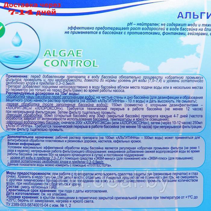 Жидкость Альгитинн для борьбы с водорослями в бассейне, 10 л - фото 2 - id-p227105600
