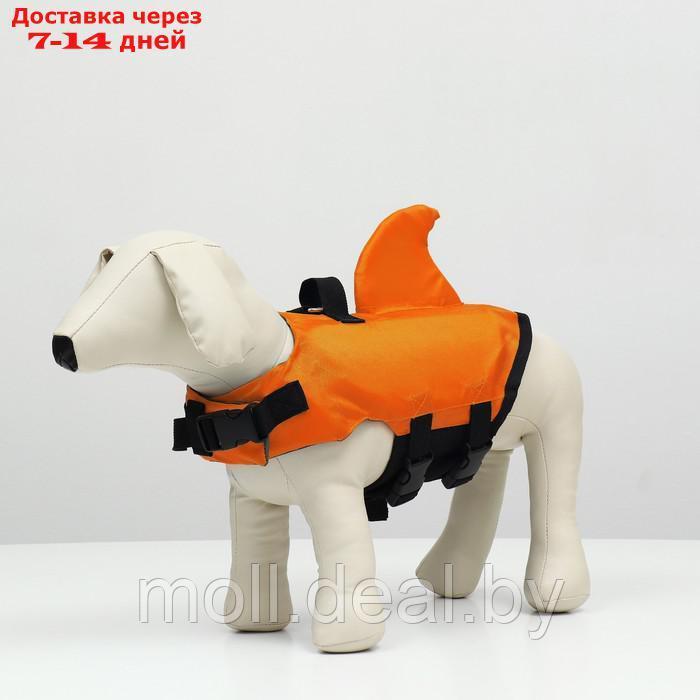 Спасательный жилет "Акула" для собак 9-23 кг, размер M (ДС 30, ОГ 41-63, ОШ 40-48 см) - фото 1 - id-p227109694