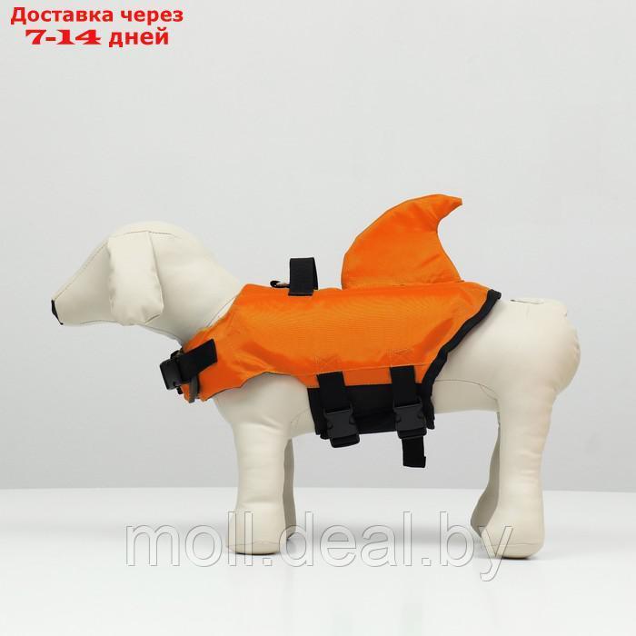 Спасательный жилет "Акула" для собак 9-23 кг, размер M (ДС 30, ОГ 41-63, ОШ 40-48 см) - фото 3 - id-p227109694