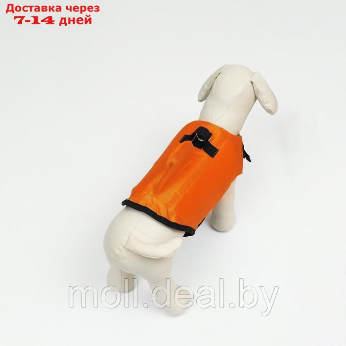Спасательный жилет "Акула" для собак 9-23 кг, размер M (ДС 30, ОГ 41-63, ОШ 40-48 см) - фото 4 - id-p227109694