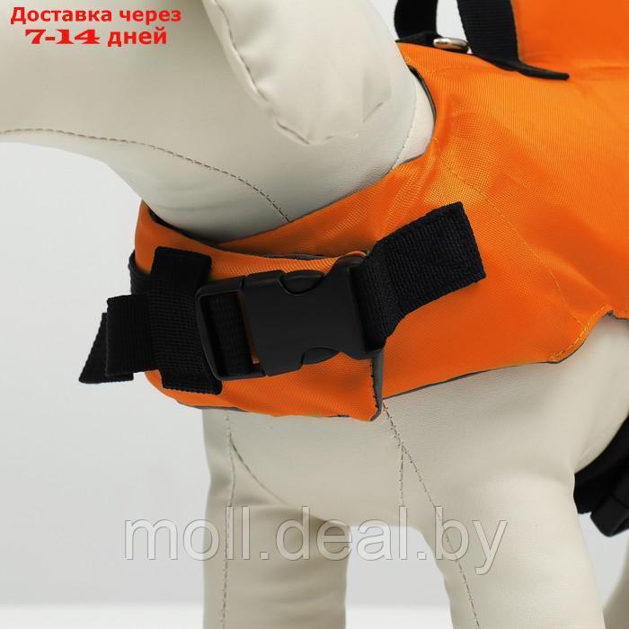 Спасательный жилет "Акула" для собак 9-23 кг, размер M (ДС 30, ОГ 41-63, ОШ 40-48 см) - фото 5 - id-p227109694