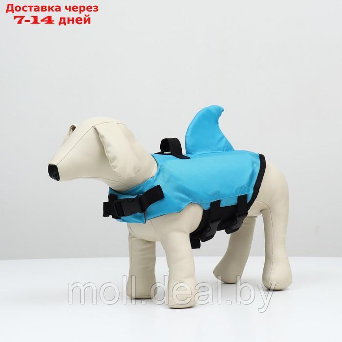 Спасательный жилет "Акула" для собак 7-9 кг, размер S (ДС 26, ОГ 41-53, ОШ 36-47 см) - фото 1 - id-p227109697
