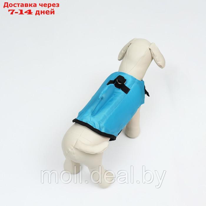 Спасательный жилет "Акула" для собак 7-9 кг, размер S (ДС 26, ОГ 41-53, ОШ 36-47 см) - фото 4 - id-p227109697