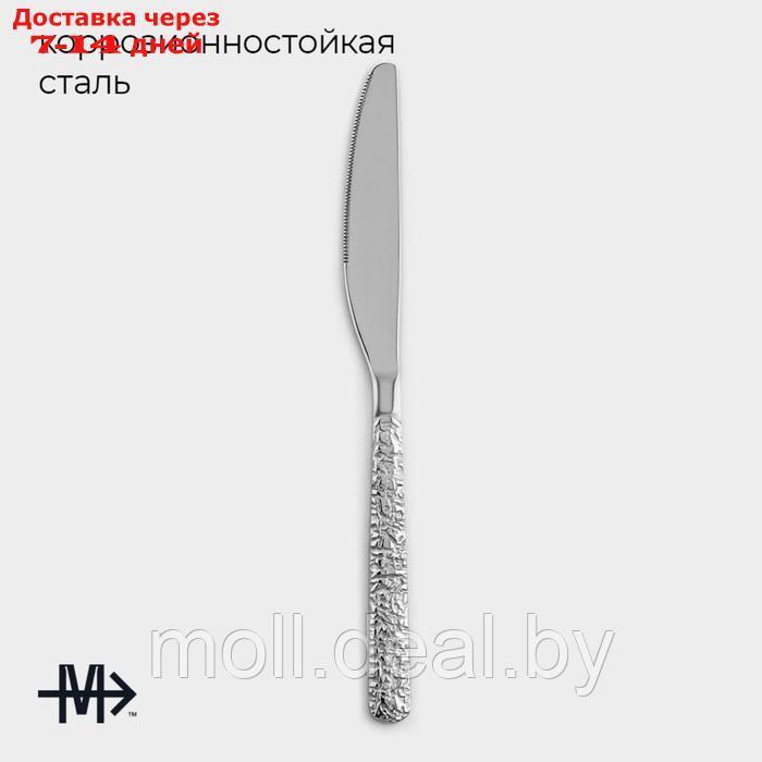 Набор ножей столовых из нержавеющей стали Magistro "Олин", длина 22,7 см, 6 шт - фото 2 - id-p227076234