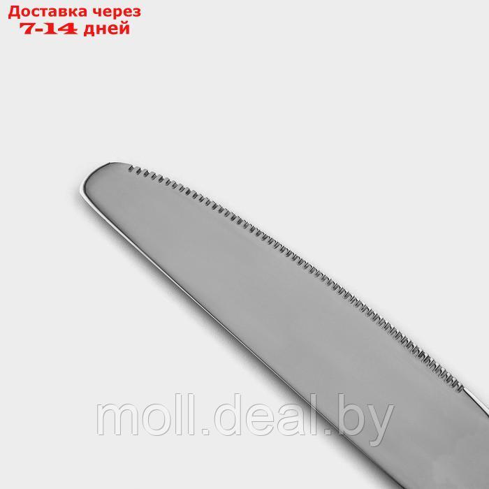 Набор ножей столовых из нержавеющей стали Magistro "Олин", длина 22,7 см, 6 шт - фото 3 - id-p227076234