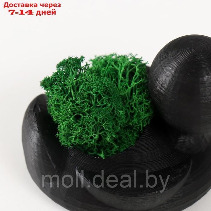 Кашпо бетонное "Утка" 6х8х5,5 см черная со мхом(мох зелен. стабилизированный) - фото 5 - id-p227081231