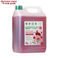 Жидкое мыло SEPTIVIT "Малиновый пай", 5 л