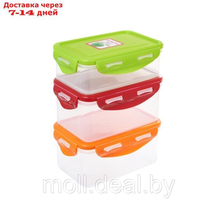 Набор пластиковых контейнеров Oursson, многоцветный - фото 2 - id-p227077243