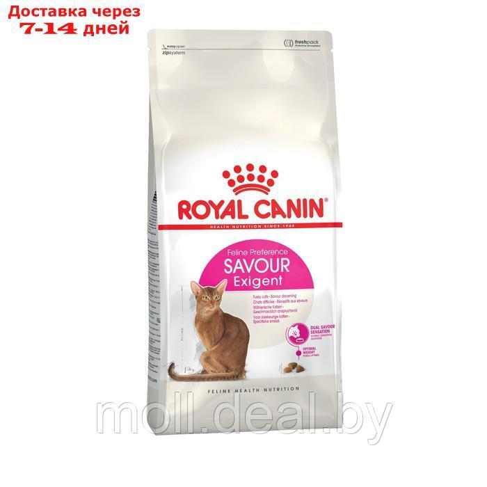 Сухой корм RC Exigent Savour Sensation для кошек привередливых ко вкусу корма, 4 кг - фото 1 - id-p227107472