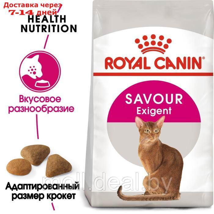 Сухой корм RC Exigent Savour Sensation для кошек привередливых ко вкусу корма, 4 кг - фото 3 - id-p227107472