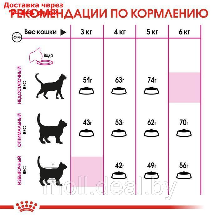 Сухой корм RC Exigent Savour Sensation для кошек привередливых ко вкусу корма, 4 кг - фото 6 - id-p227107472