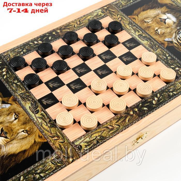 Нарды "Лев и тигр", деревянная доска 50 х 50 см, с полем для игры в шашки - фото 9 - id-p227113963
