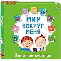 Книжки кубики. Мини - книжки "Мир вокруг меня"