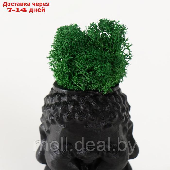 Кашпо бетонное "Будда" 5,5х6,5х7см черный матовый со мхом (мох зеленый стабилизированный) - фото 5 - id-p227081240
