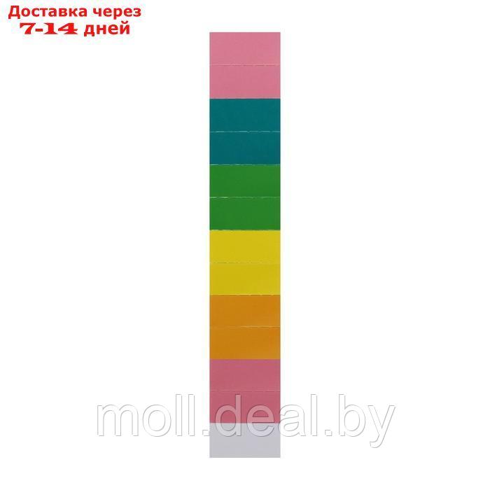 Папка-картотека ErichKrause "Matt Pastel Bloom", A4, с 13 цветными отделениями, в пакете, МИКС - фото 9 - id-p227093244