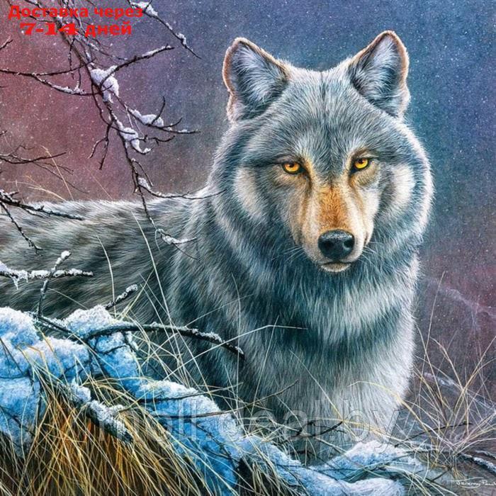 Пазл "Серый волк", 1000 элементов - фото 2 - id-p227082259
