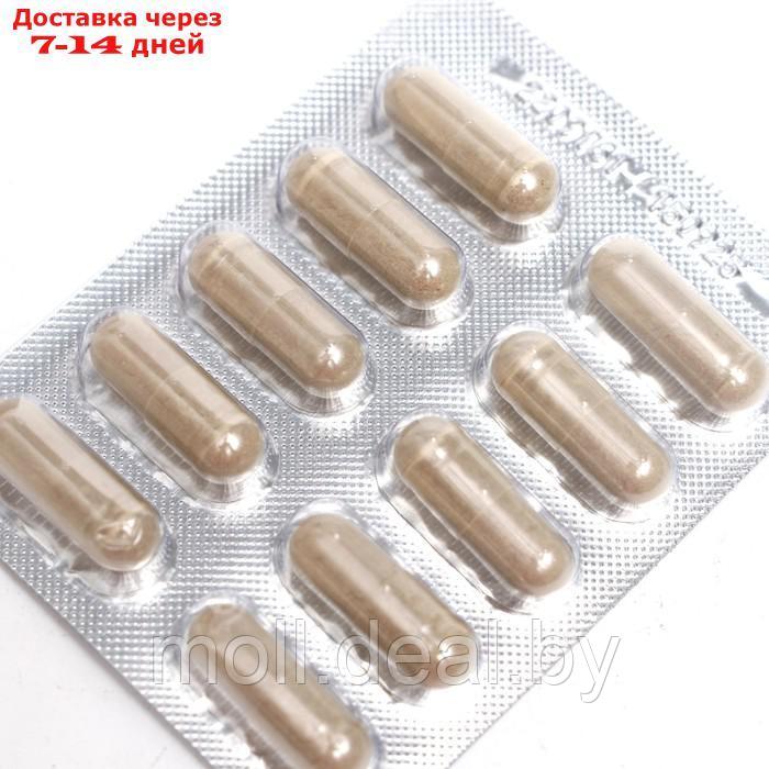 Климмикс GLS для женщин, 60 капсул по 400 мг - фото 2 - id-p227111819