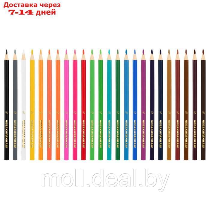 Карандаши цветные 24 цвета, Мульти-Пульти "Чебурашка", трехгранные, заточенные, металлический пенал - фото 2 - id-p227091185