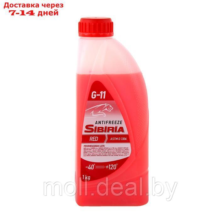 Антифриз SIBIRIA -40 красный, 1 кг