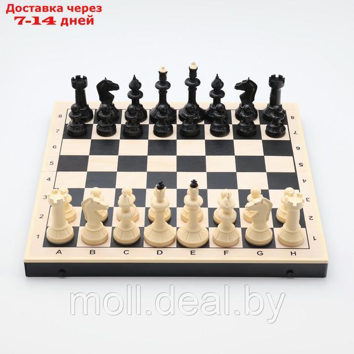 Шахматы гроссмейстерские с шашками, 40х40 см, набор 2в1 "Айвенго" король h=10 см - фото 3 - id-p227090160