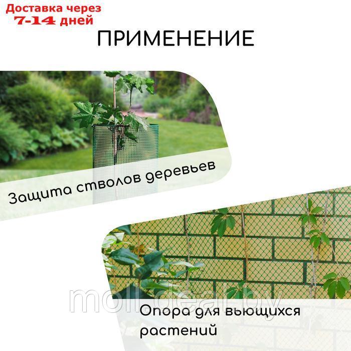Сетка садовая, 0,5 × 20 м, ячейка ромб 15 × 15 мм, пластиковая, зелёная, Greengo - фото 4 - id-p227075318