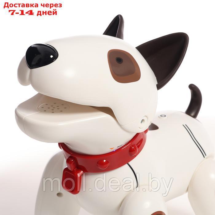 Робот-собака "Рэкс", радиоуправляемый, световые и звуковые эффекты - фото 8 - id-p227082290