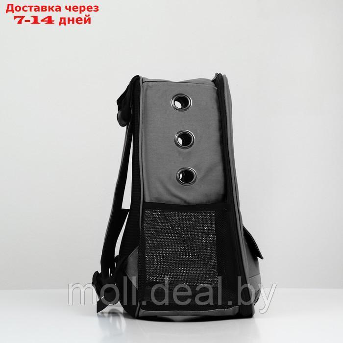 Рюкзак для переноски животных с окном для обзора, серый - фото 4 - id-p227111958