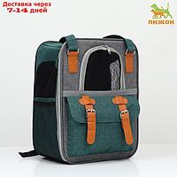 Рюкзак-переноска для животных, 52 х 22 х 41 см, зелёный