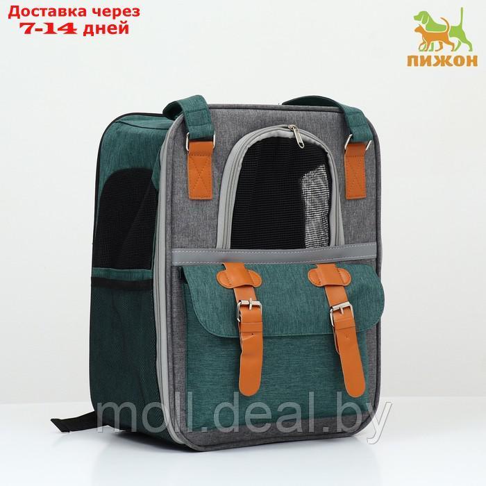 Рюкзак-переноска для животных, 52 х 22 х 41 см, зелёный - фото 1 - id-p227111959