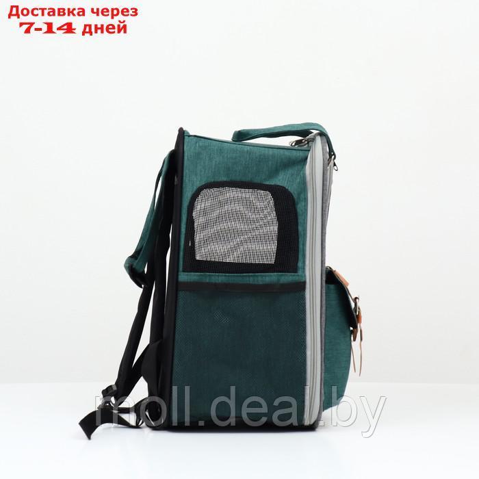 Рюкзак-переноска для животных, 52 х 22 х 41 см, зелёный - фото 4 - id-p227111959