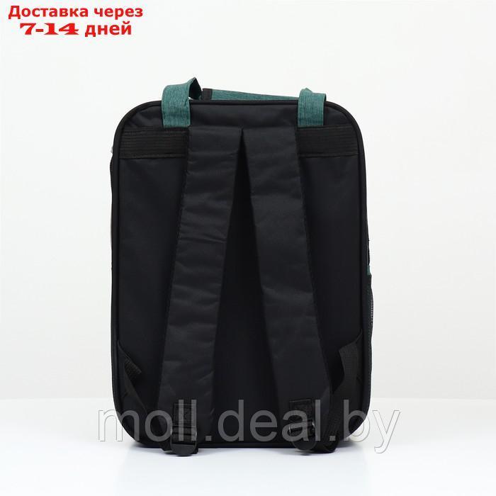 Рюкзак-переноска для животных, 52 х 22 х 41 см, зелёный - фото 5 - id-p227111959