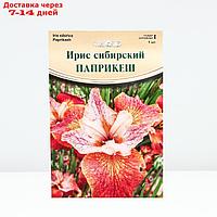 Ирис "Paprikash", р-р I, 1 шт, Весна 2024
